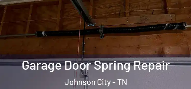  Garage Door Spring Repair Johnson City - TN