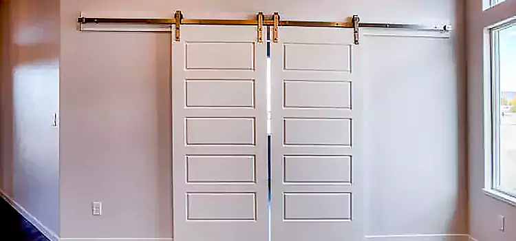 Glass Barn Door with Installation Hardware Kit Johnson City