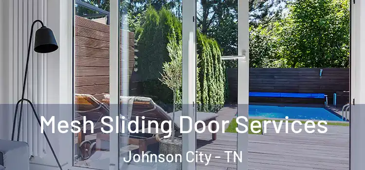 Mesh Sliding Door Services Johnson City - TN