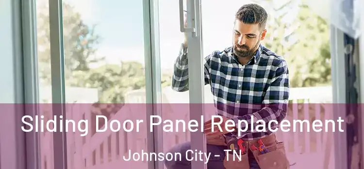  Sliding Door Panel Replacement Johnson City - TN